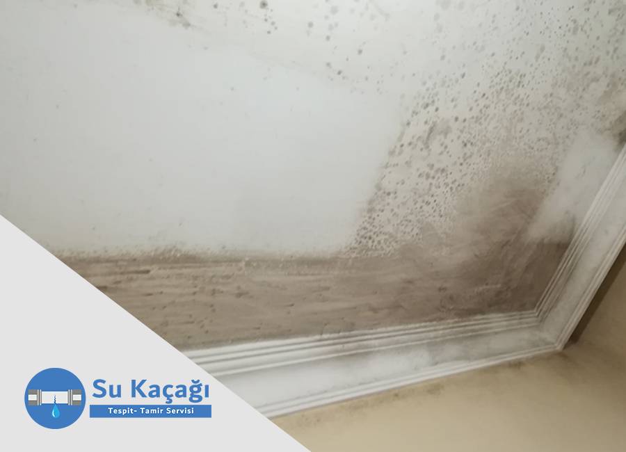 Su Kaçağı Kaynaklı Rutubet Sağlığa Zarar Verir mi